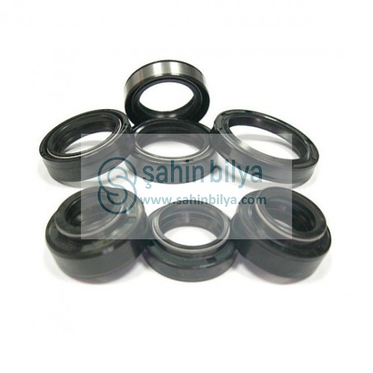 SHN 25X52X10 DC NBR  KEÇE KAUÇUK KAPLI ÇİFT TARAFI YAYLI YAĞ KEÇESİ