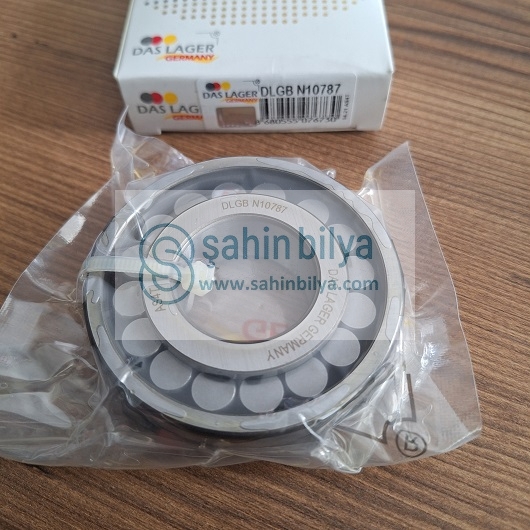 DASLAGER DLGB-N10787 AYNA MAHRUTİ RULMANI R12 32x72x19