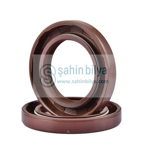SHN 20X38X8 TC FPM VİTON YAĞ KEÇESİ KAUÇUK KAPLI TOZ DUDAKLI