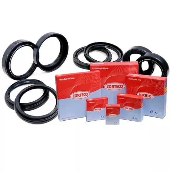 CORTECO 01027624 82027624 46*65*21 NBR RWDR-KOMBI