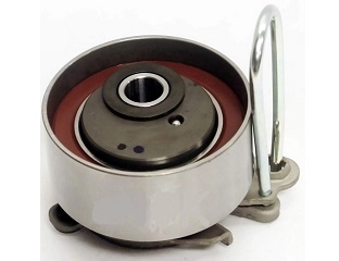 Eksantrik Gergi Rulmanı